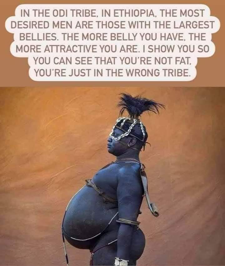 04e81b54c32c46fcb56ea57ce88df05d.jpg