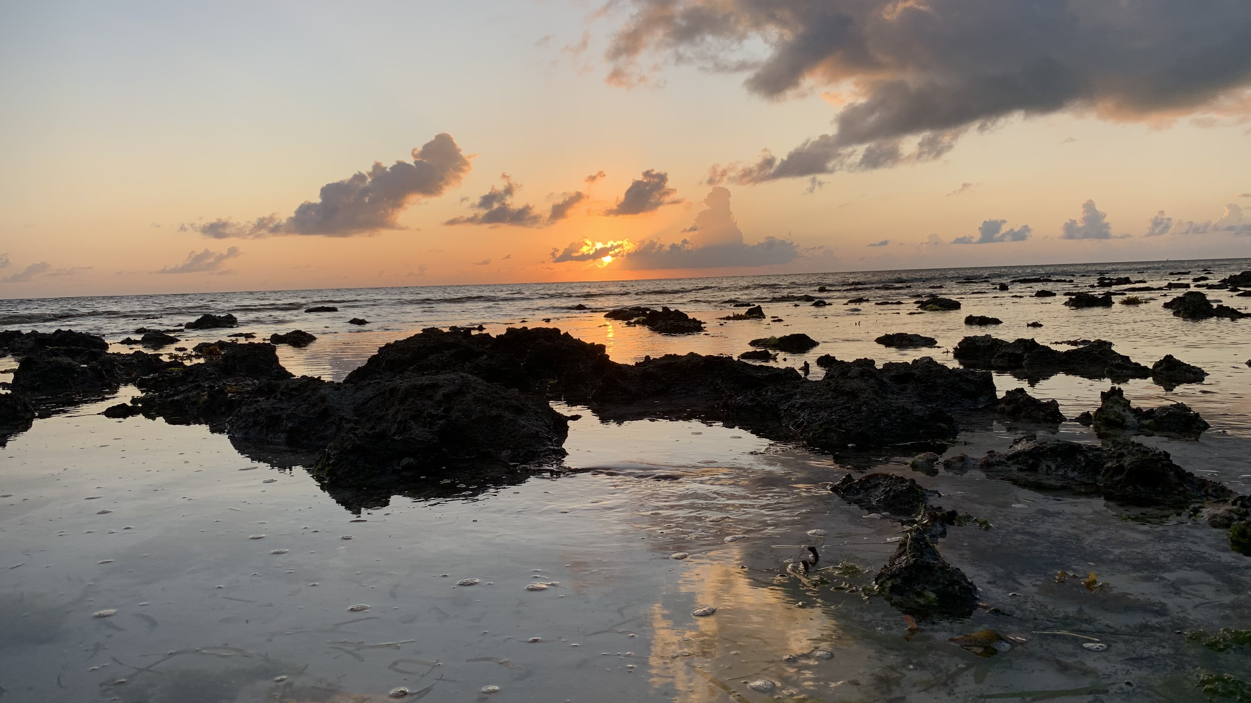 0544B976-D6D3-4B1D-B64A-3665B89B80B8.jpeg