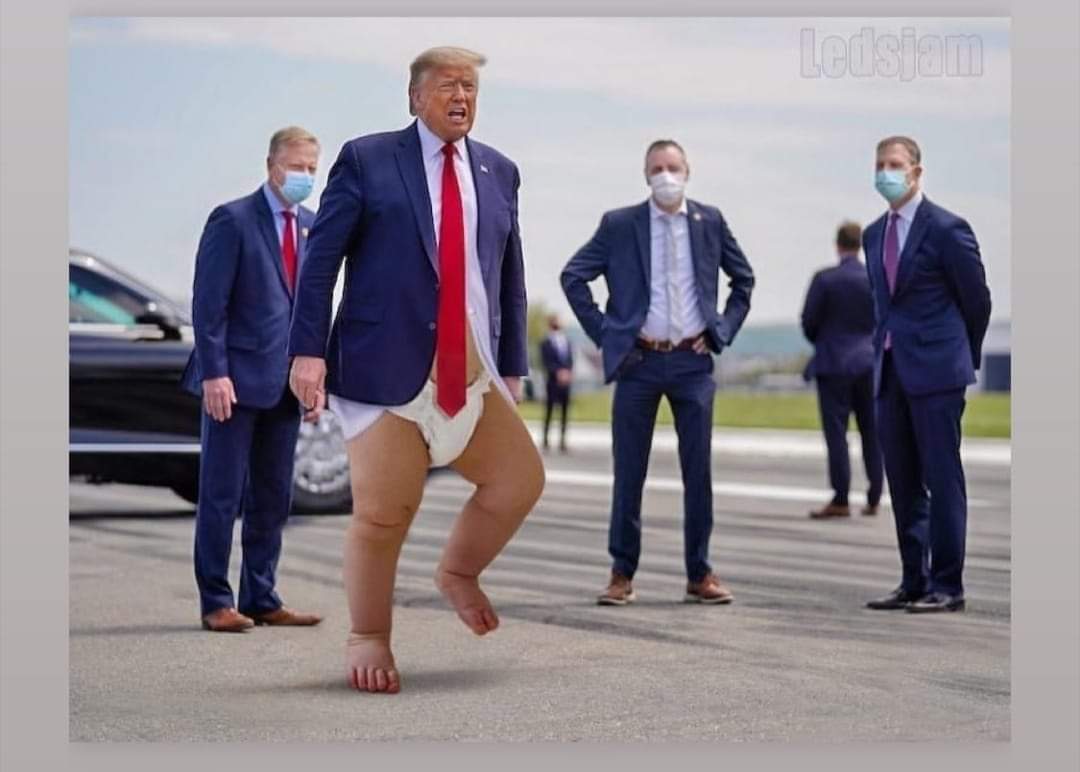 101846447_1462771290569969_1454081762945144766_o.jpg