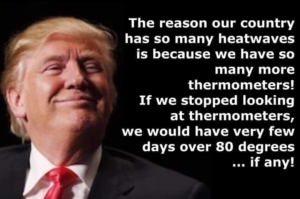 106393895_1478467452333686_1841857360113062236_n.jpg