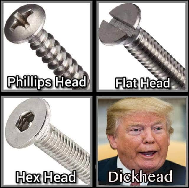 109931089_1497696463744118_3134181642198664763_n.jpg