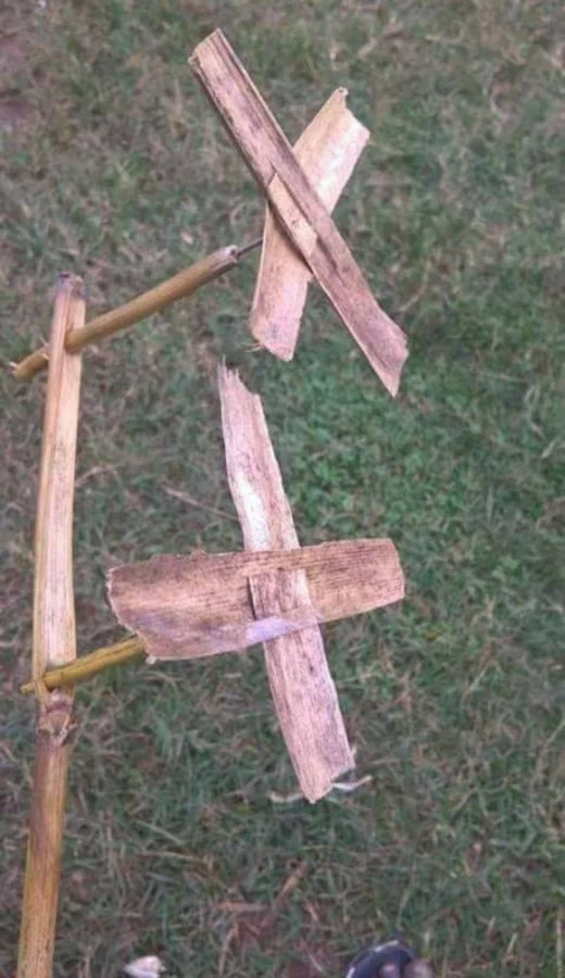 14.jpeg
