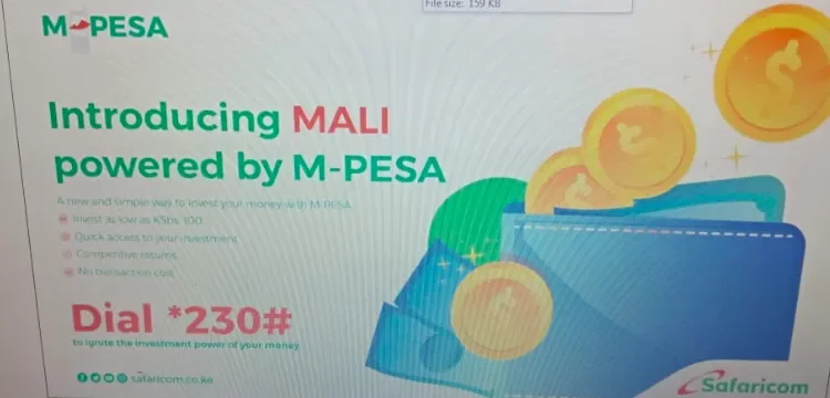 1575554148725.webp