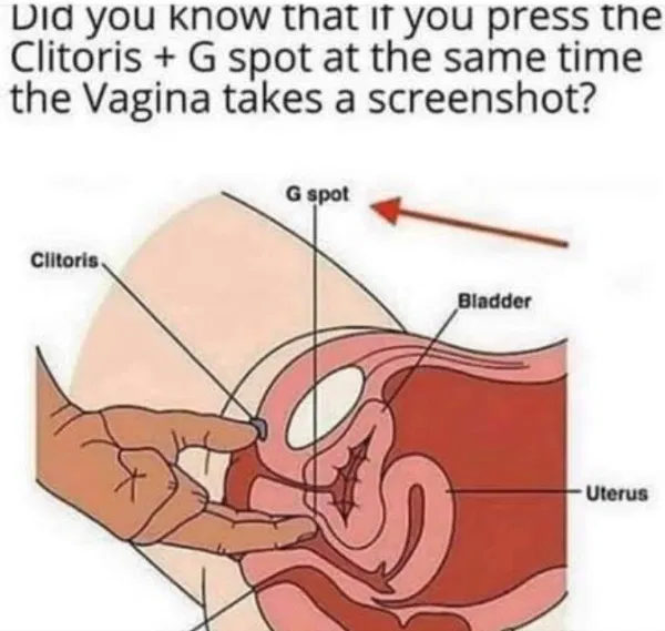 1597389600721.png