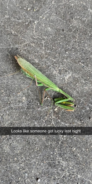 1599106396268.png