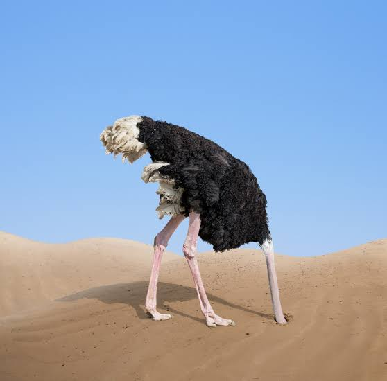 1603077924325.png