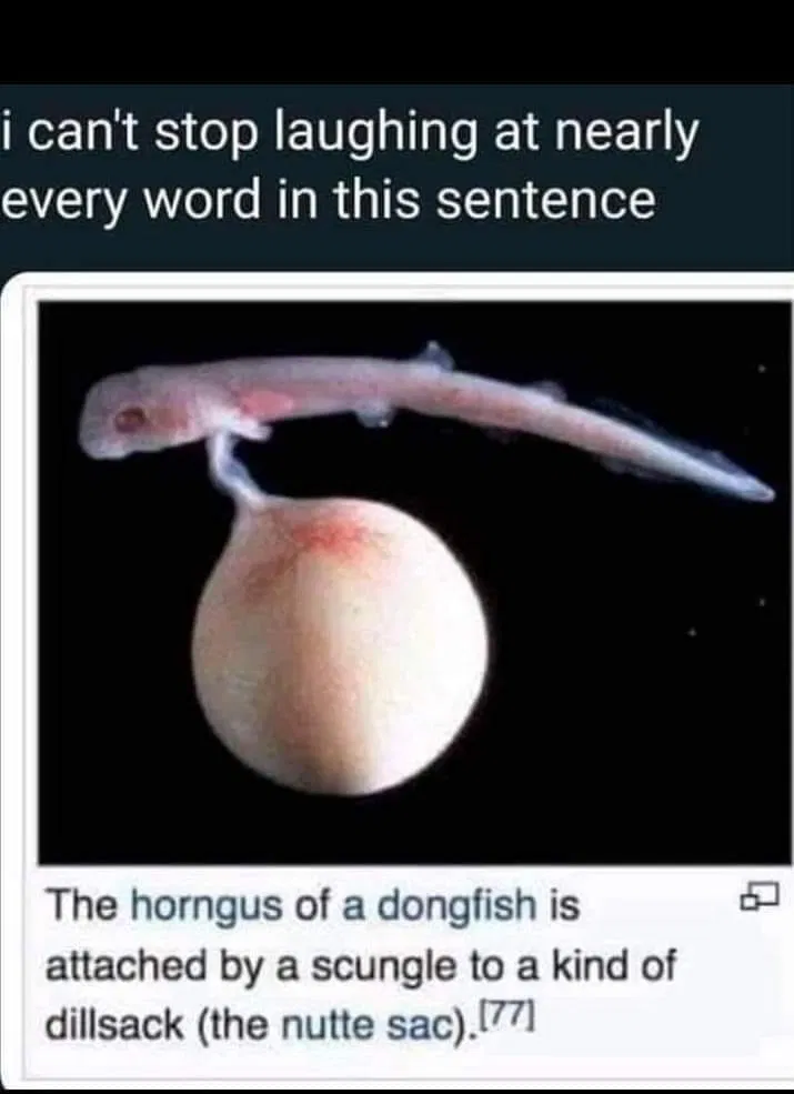 1604084141901.png