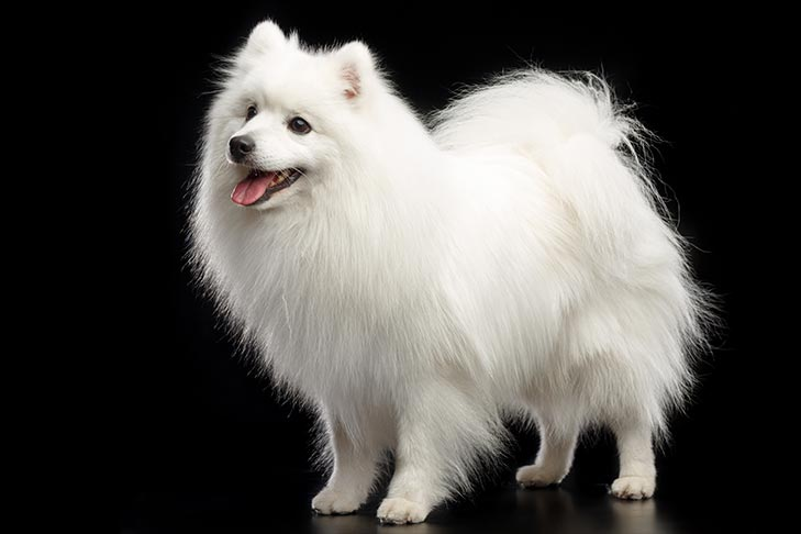 1605729434083.png