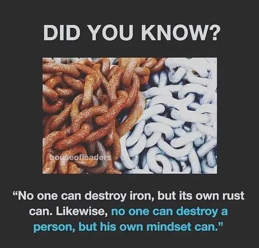 1613108274774.png