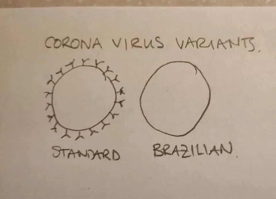 1613415090091.png