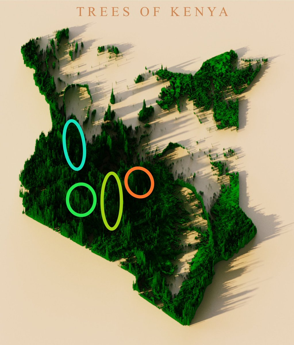 1613556367223.png