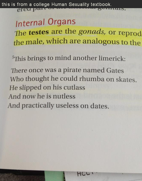 1617730795731.png