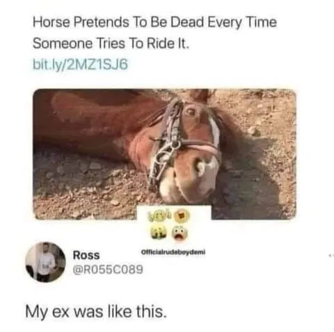 1620385737633.png