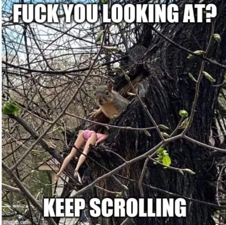 1621569554178.png