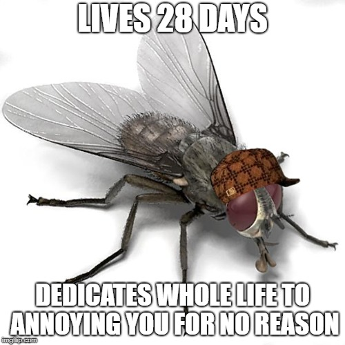 1623134914975.png