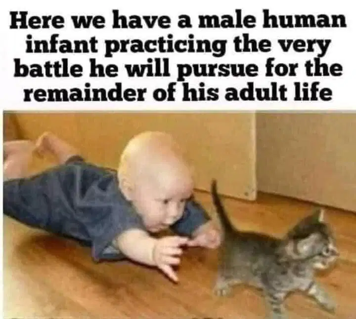 1623819561504.png