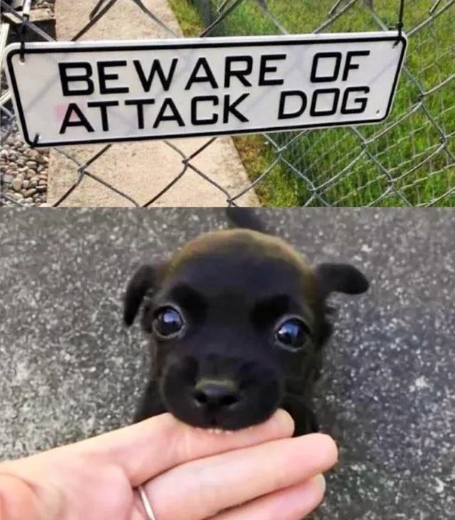 1624537996379.png