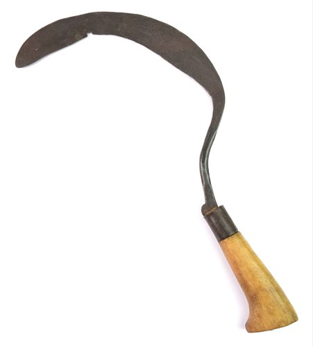 1626459599436.png