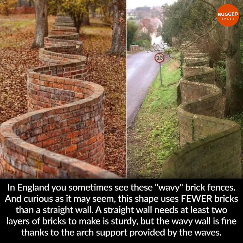 1628156089741.png