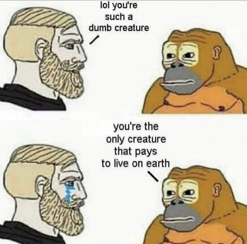 1628845749292.png