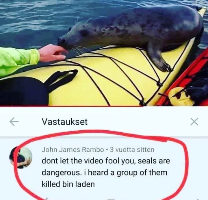 1629445589614.png