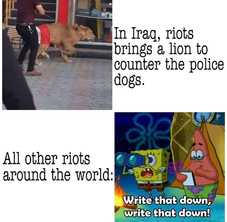 1631642533830.png