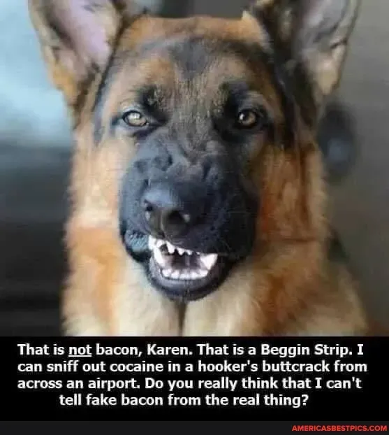 1632454988390.png