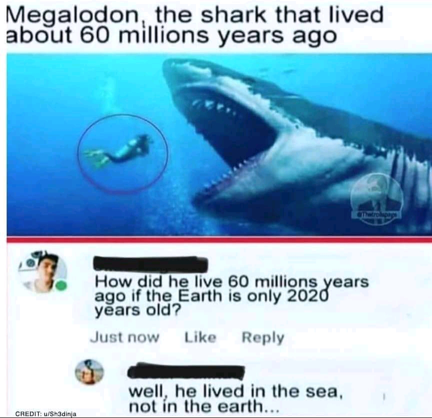 1636964329057.jpg