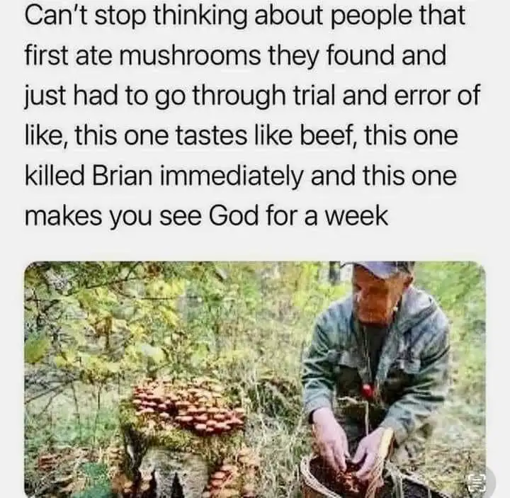 1637726231867.png