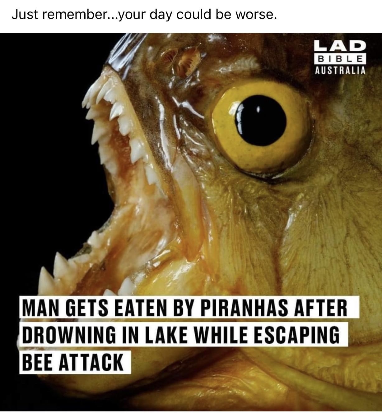 1637730500415.png