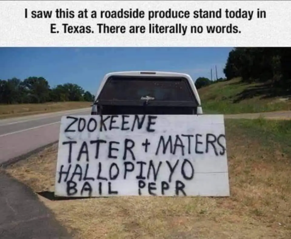 1638158120667.png