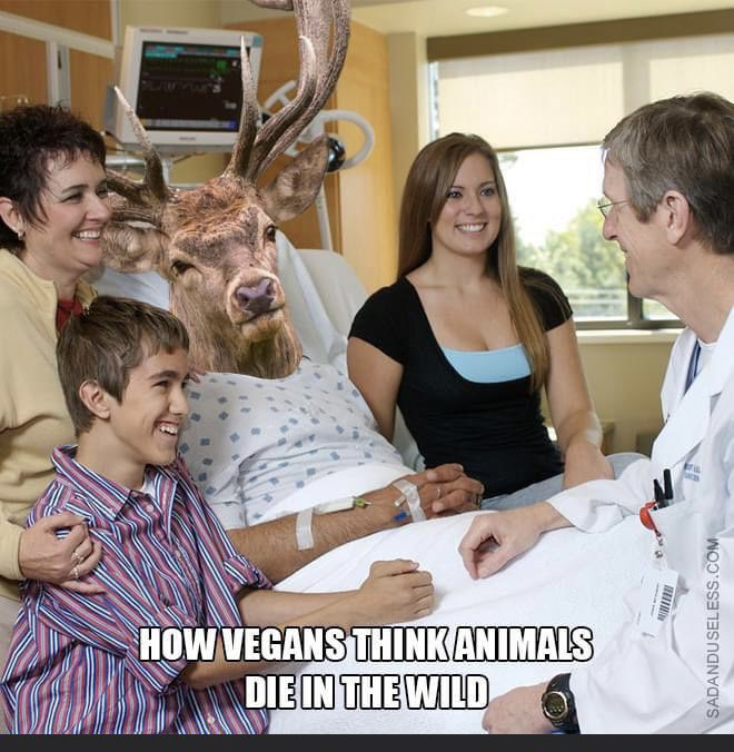 1642494475878.png