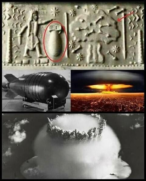 1644958316479.png