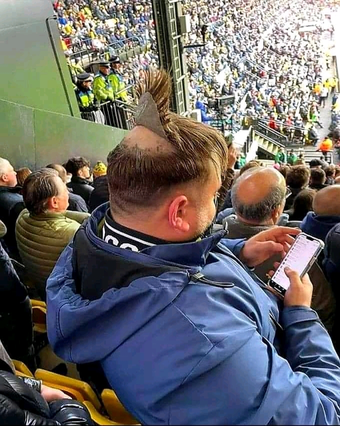 1647065013592.jpg