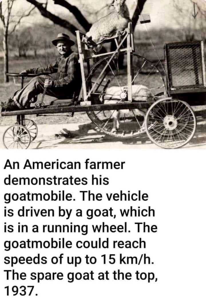 1650249831740.jpg