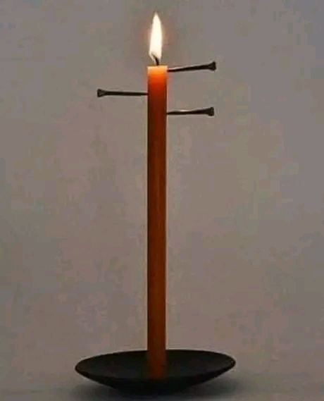 1653118067324.jpg