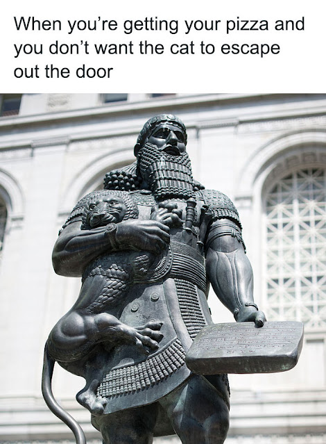 1654938346038.png