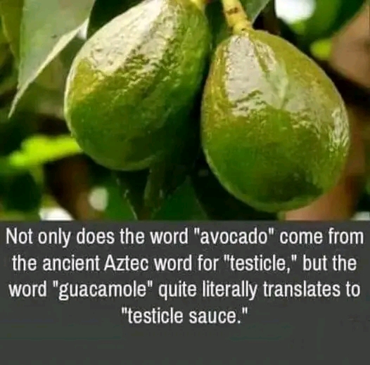 1655477844781.jpg