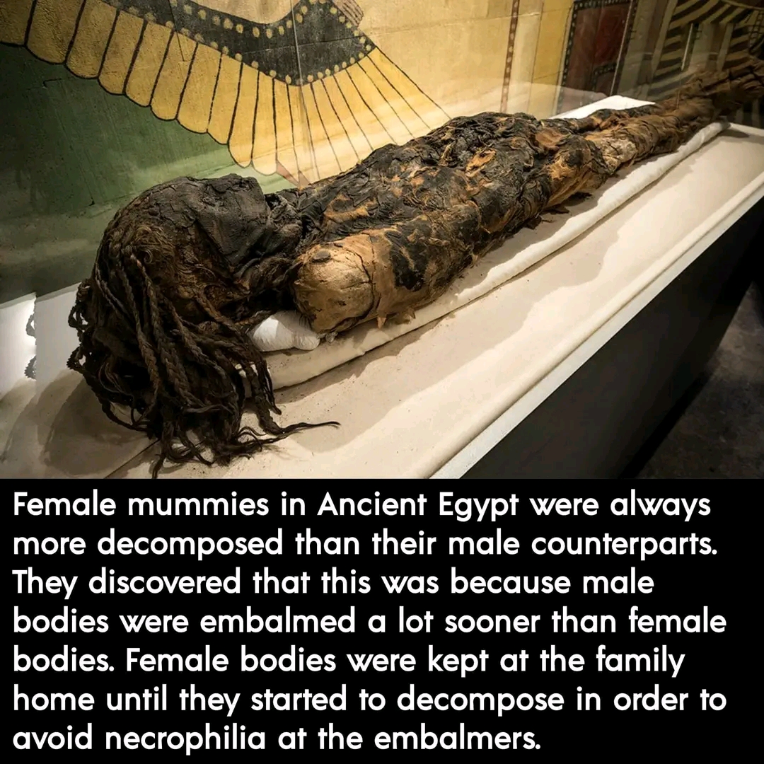 1660124486732.jpg