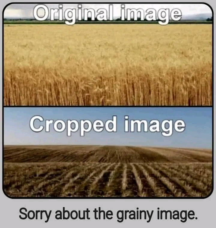 1661853740828.jpg