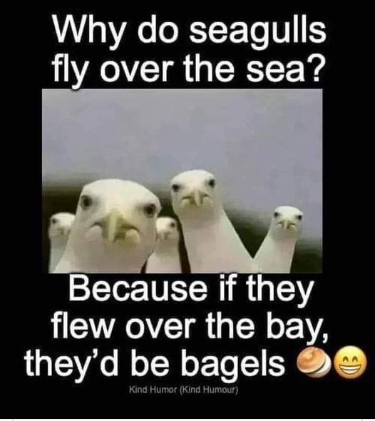 1663125576124.png