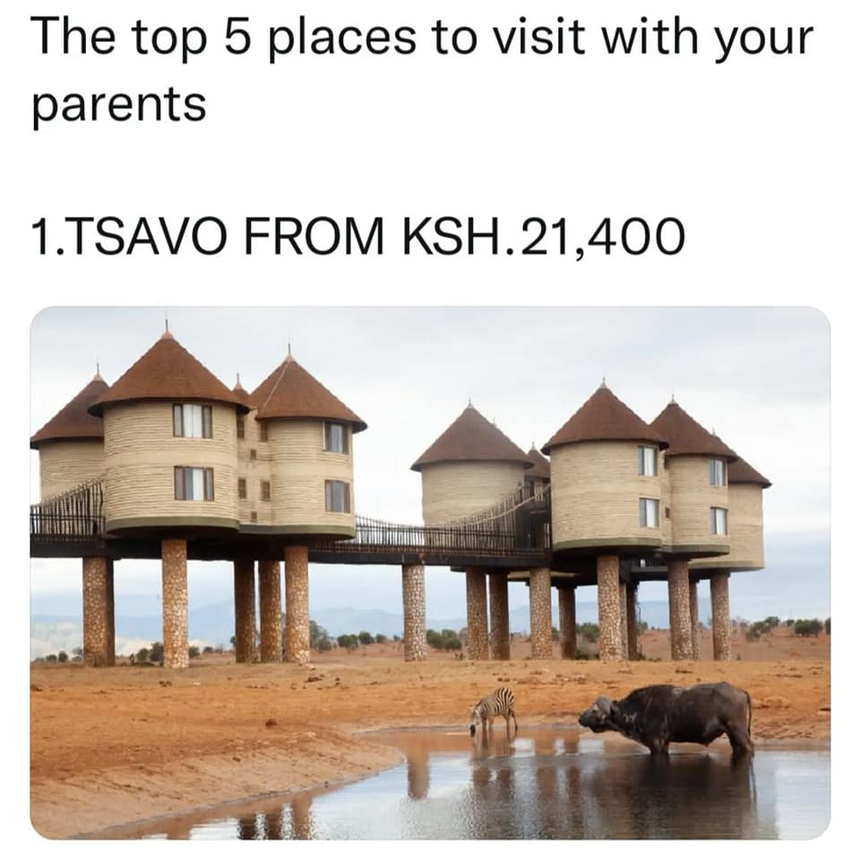 1663574426549.png