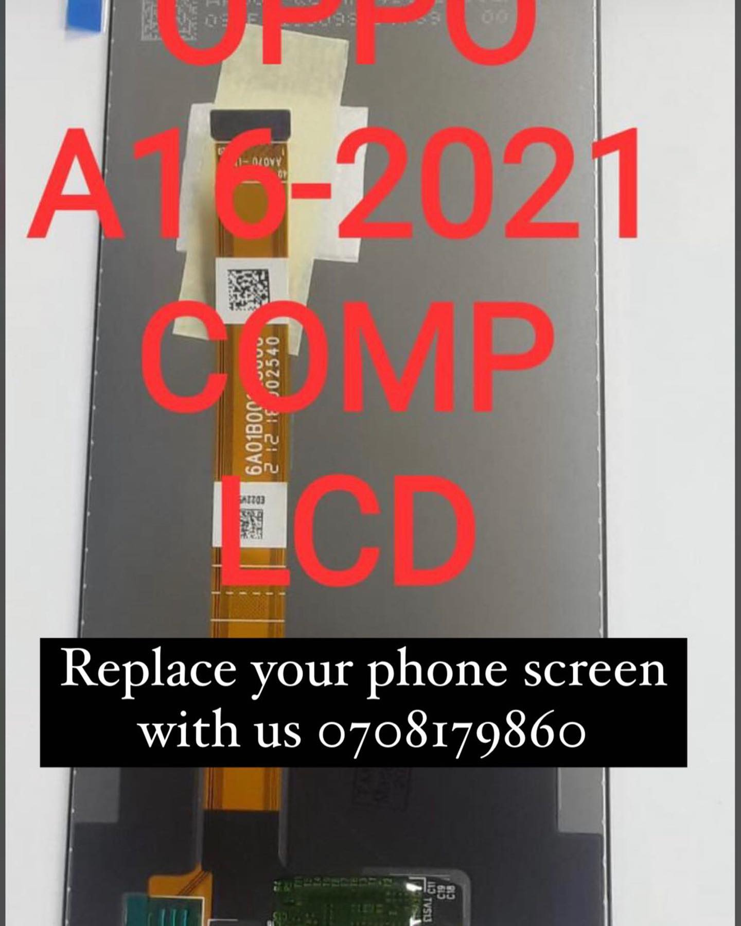 1663830793194.png