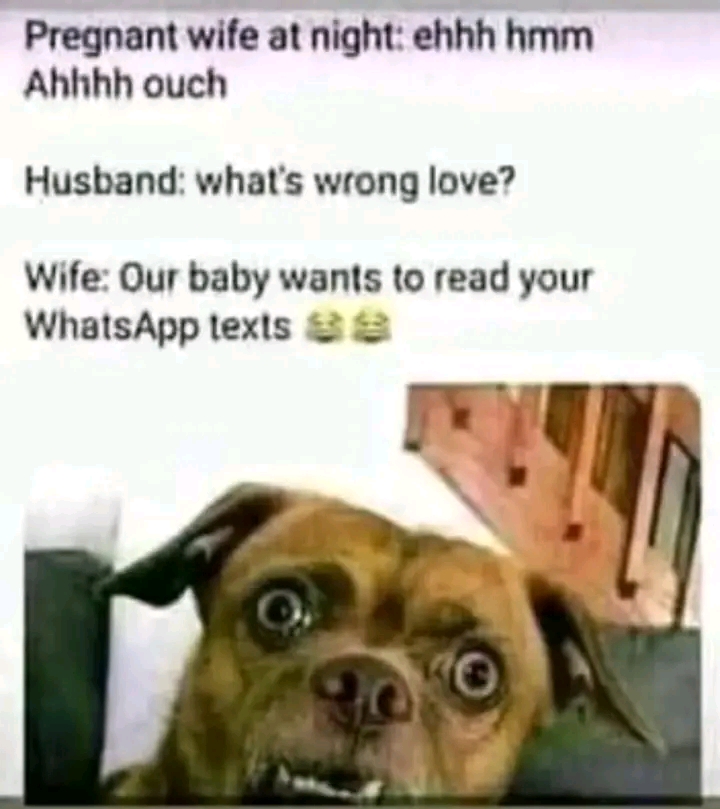 1665222557431.jpg