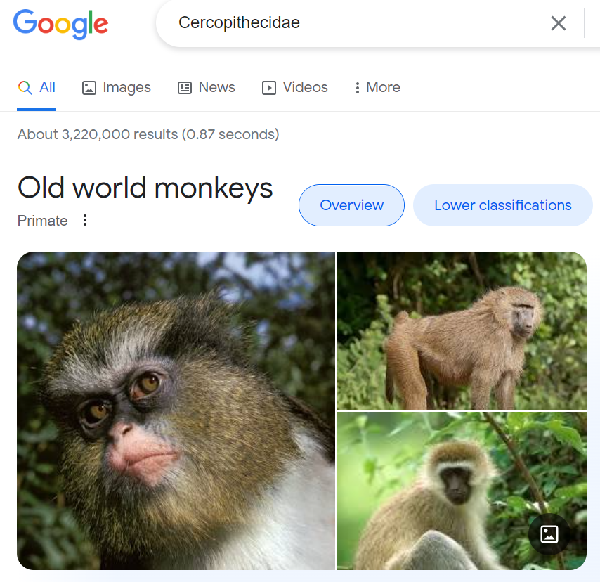 1667475711649.png