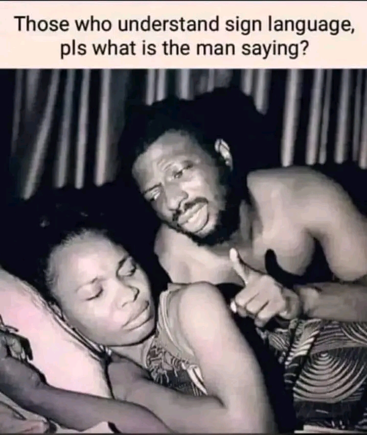 1667624106560.jpg