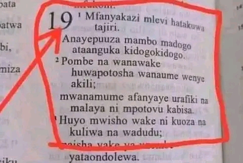 1667792284182.jpg