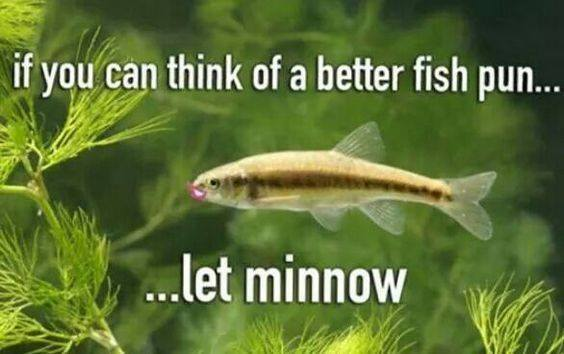 1667793716977.png