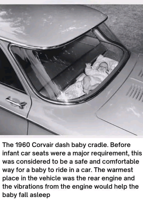 1668771358830.jpg