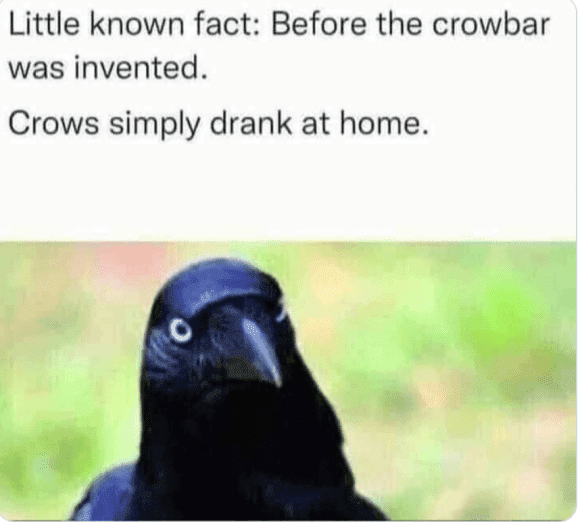 1669002228911.png